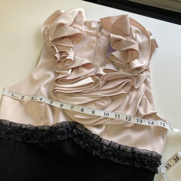 JS Collections Sheath Cocktail Dress Blush/Black - Picture 12 of 14